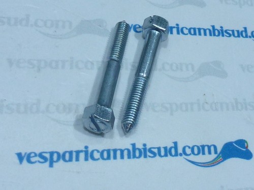 Coppia vite coperchio scatola - coppia,