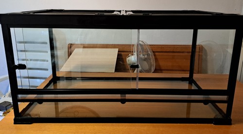 Terrario vetro per rettili - vetro,
